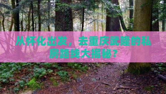 怀化到重庆武隆个人游