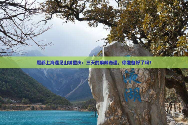 上海到重庆三日游