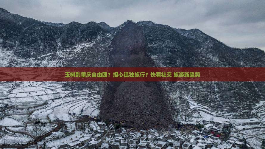 玉树到重庆自由团