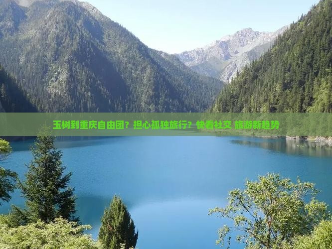 玉树到重庆自由团