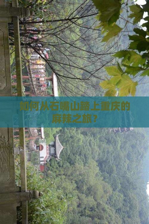 石嘴山去重庆攻略