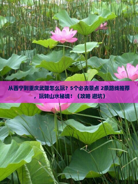 西宁去重庆武隆哪里玩