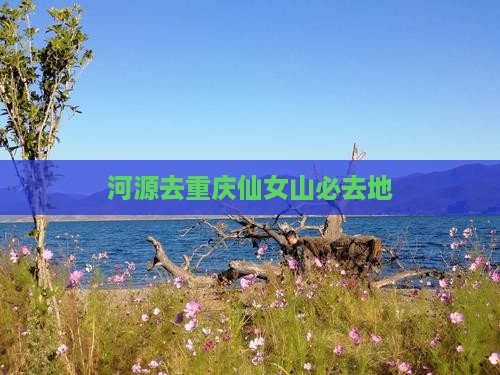河源去重庆仙女山必去地