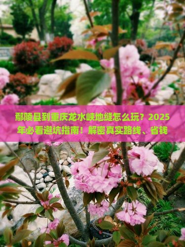 鄢陵县到重庆龙水峡地缝旅游