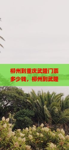 柳州到重庆武隆门票