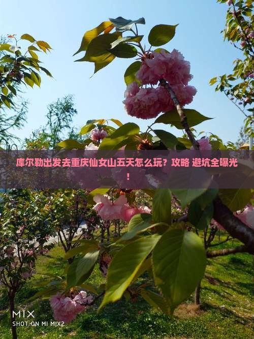 库尔勒到重庆仙女山五日游