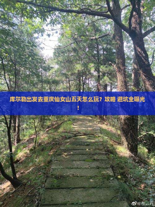 库尔勒到重庆仙女山五日游