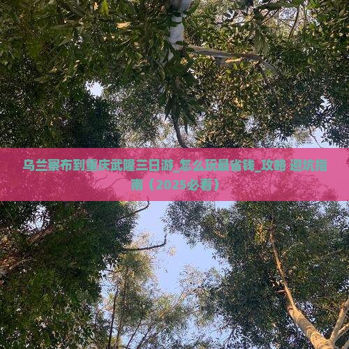 乌兰察布到重庆武隆三日游