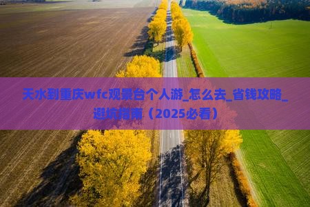 天水到重庆wfc观景台个人游