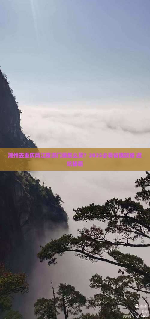 潮州去重庆两江夜游门票