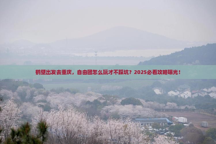 鹤壁去重庆自由团