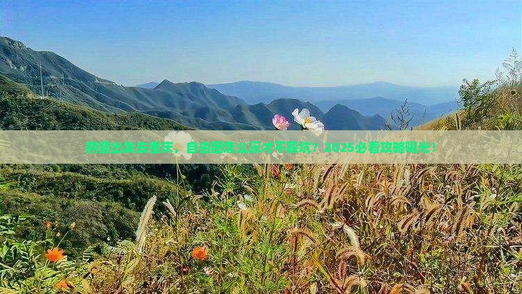 鹤壁去重庆自由团