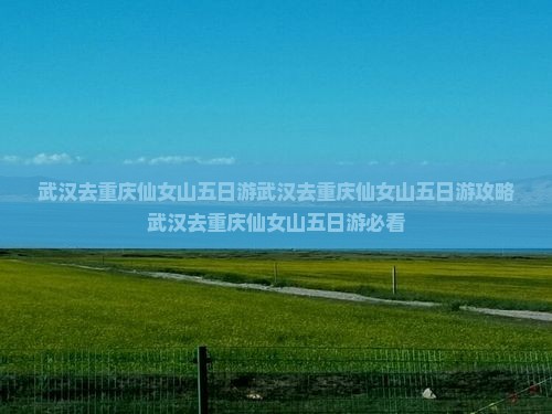 武汉去重庆仙女山五日游