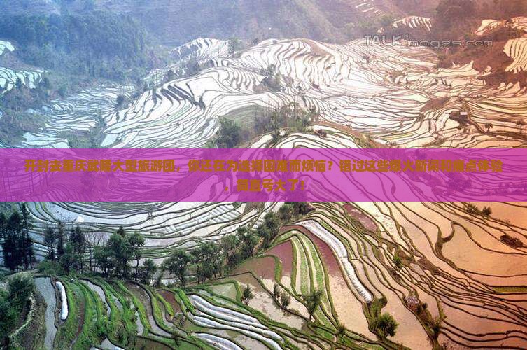 开封去重庆武隆大型旅游团