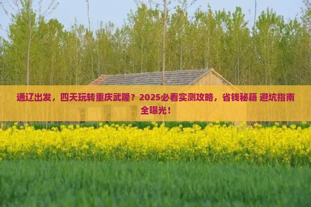通辽到重庆武隆四日游