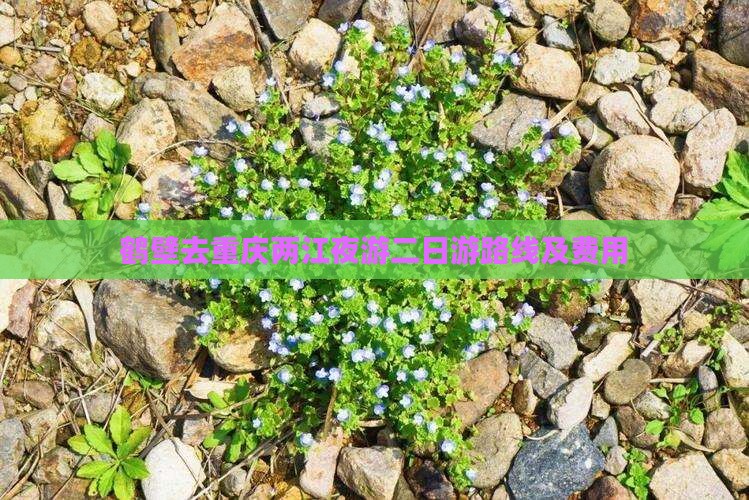 鹤壁去重庆两江夜游二日游