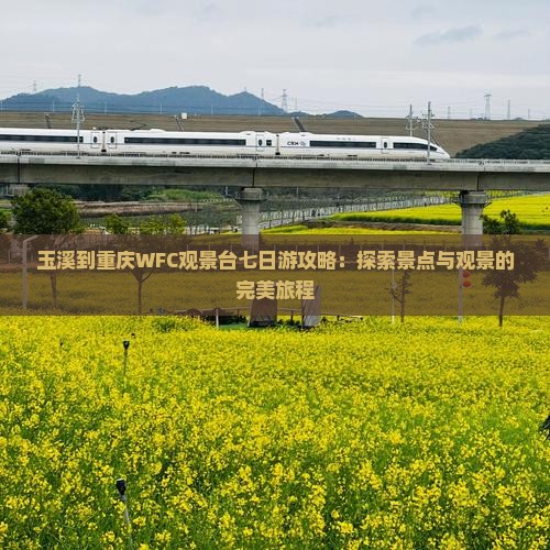 玉溪到重庆wfc观景台七日游