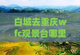 白城去重庆wfc观景台哪里玩