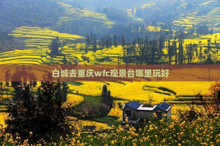 白城去重庆wfc观景台哪里玩