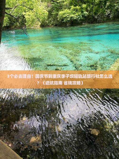 国庆节到重庆李子坝轻轨站旅行社