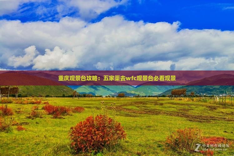 五家渠去重庆wfc观景台攻略