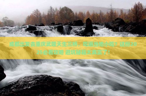 成都去重庆武隆天生三桥旅游小吃