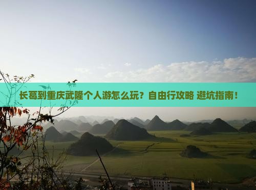 长葛到重庆武隆个人游