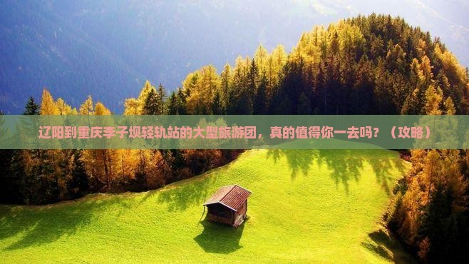 辽阳到重庆李子坝轻轨站大型旅游团