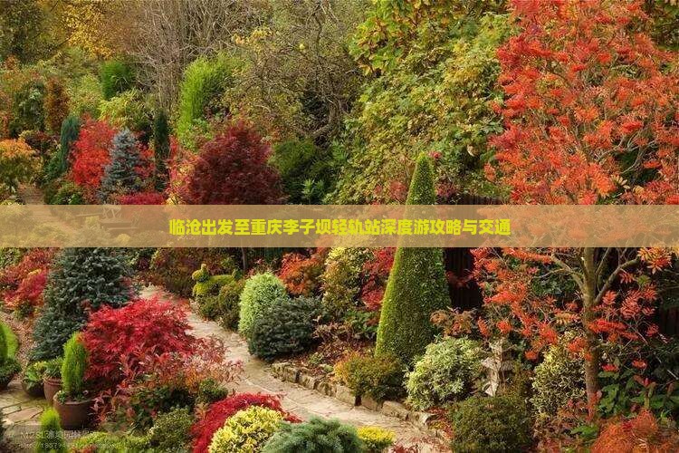 临沧出发至重庆李子坝轻轨站深度游攻略与交通