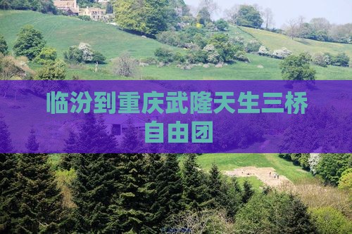 临汾到重庆武隆天生三桥自由团