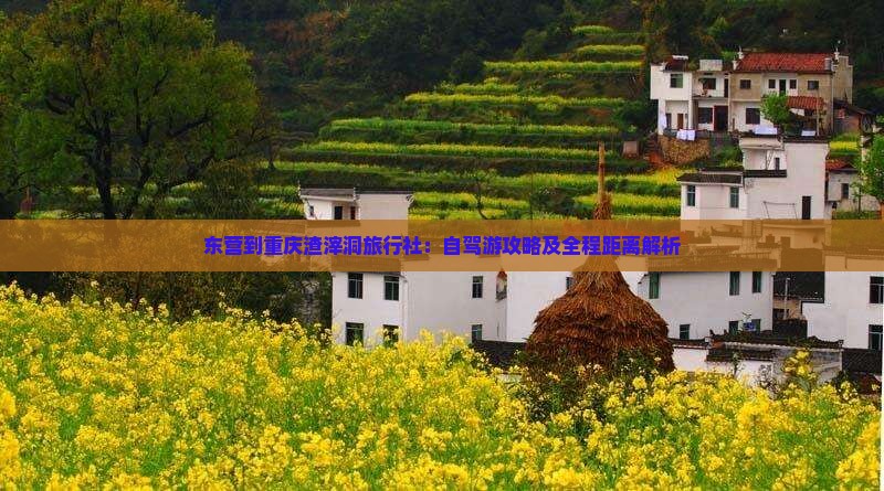 东营到重庆渣滓洞旅行社：自驾游攻略及全程距离解析