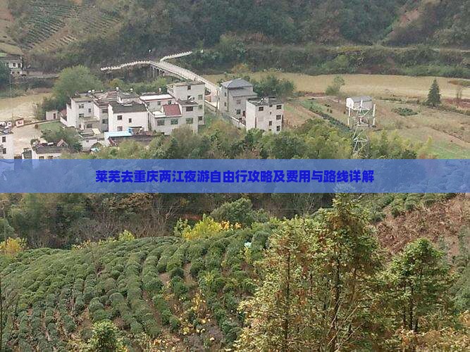 莱芜去重庆两江夜游自由行攻略及费用与路线详解