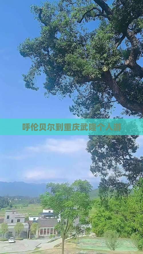 呼伦贝尔到重庆武隆个人游