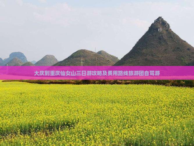 大庆到重庆仙女山三日游攻略及费用路线旅游团自驾游