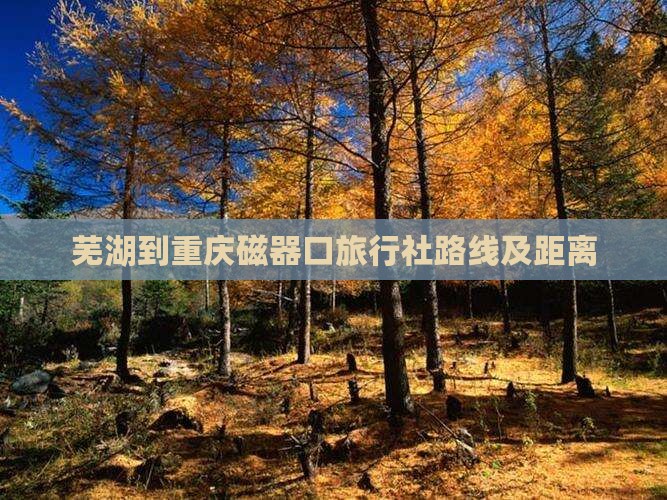 芜湖到重庆磁器口旅行社路线及距离