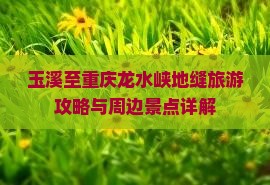 玉溪至重庆龙水峡地缝旅游攻略与周边景点详解