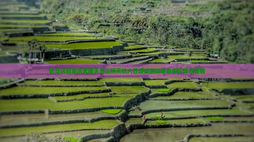 驻马店到重庆武隆天生三桥天坑六日游旅游攻略自由行景点看看