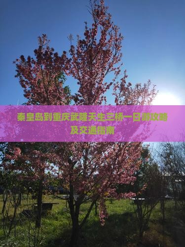 秦皇岛到重庆武隆天生三桥一日