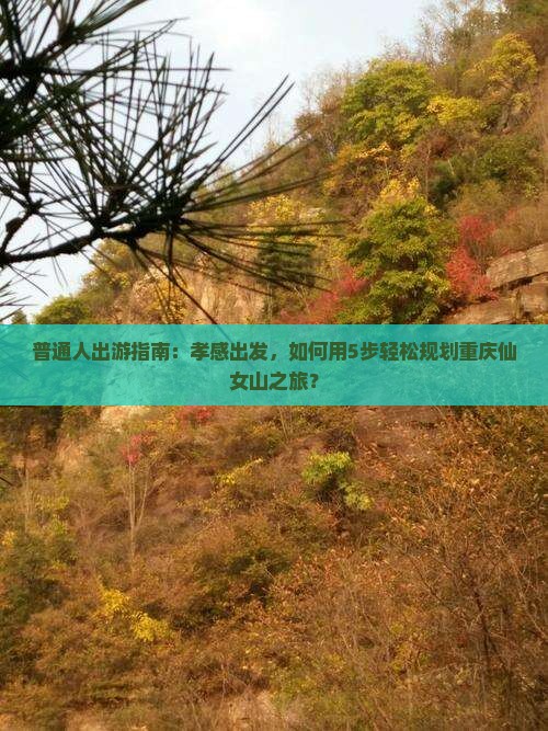 孝感去重庆仙女山旅行社