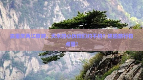 天水去重庆两江夜游旅行社