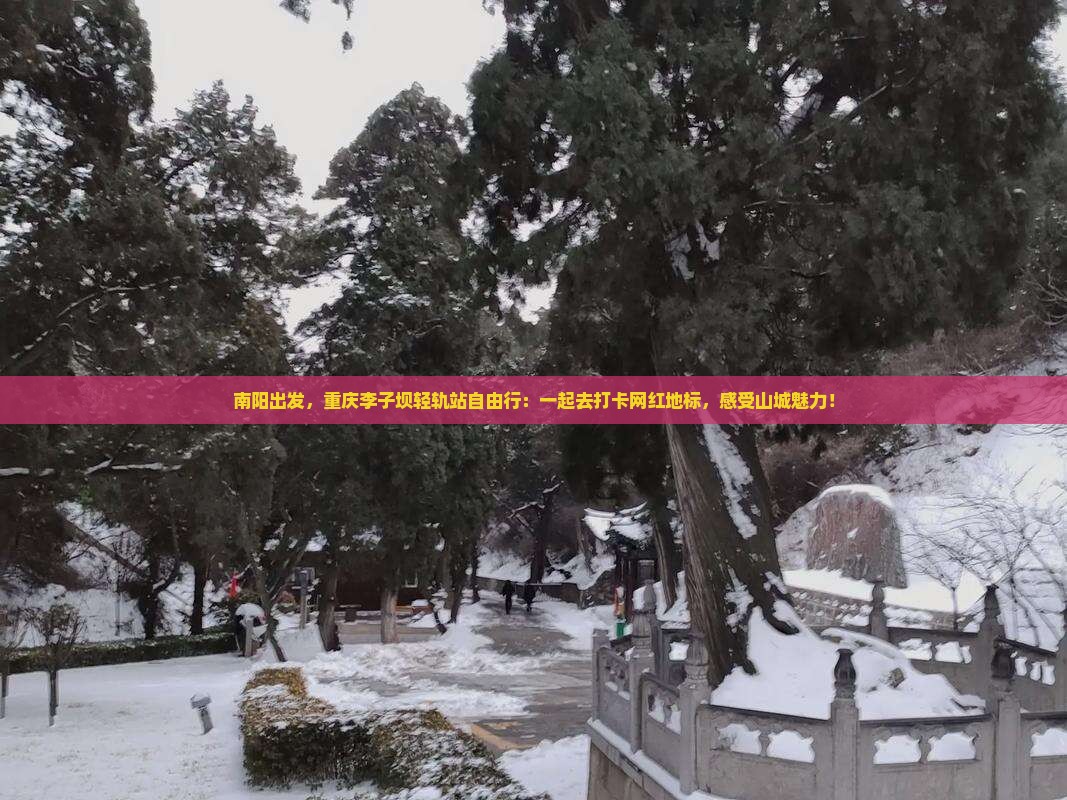 南阳去重庆李子坝轻轨站自由团