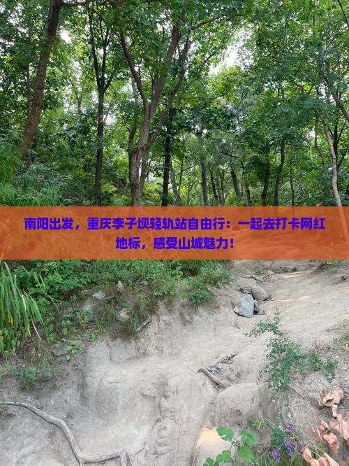 南阳去重庆李子坝轻轨站自由团