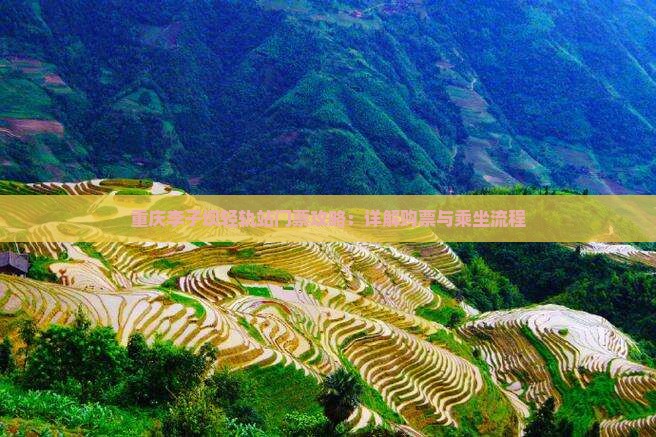 南阳去重庆李子坝轻轨站门票