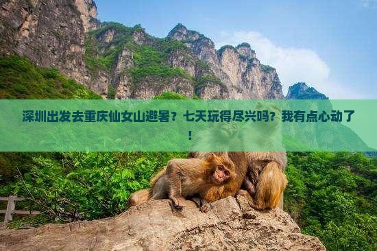 深圳到重庆仙女山七日游