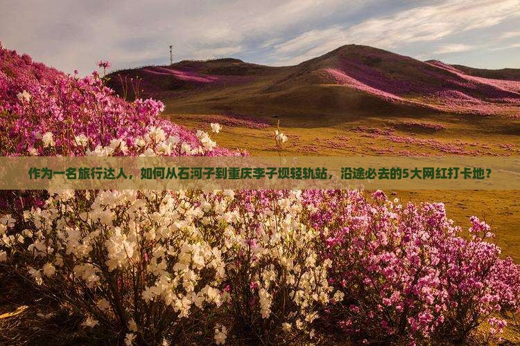 石河子到重庆李子坝轻轨站必去地