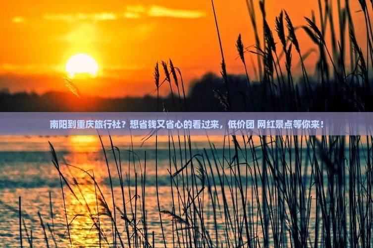 南阳到重庆旅行社