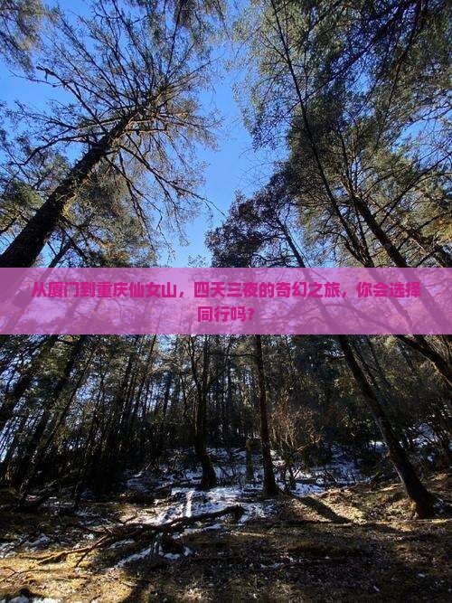 厦门去重庆仙女山四日游