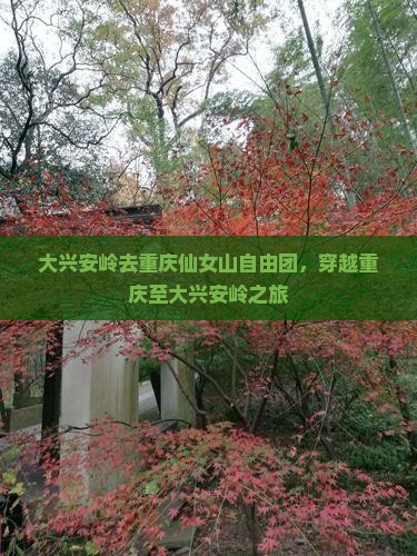 大兴安岭去重庆仙女山自由团