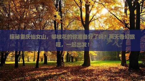 攀枝花去重庆仙女山二日游
