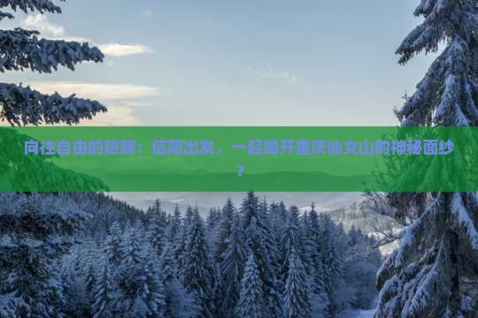 信阳去重庆仙女山景点